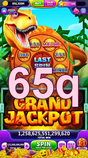 65q Login
